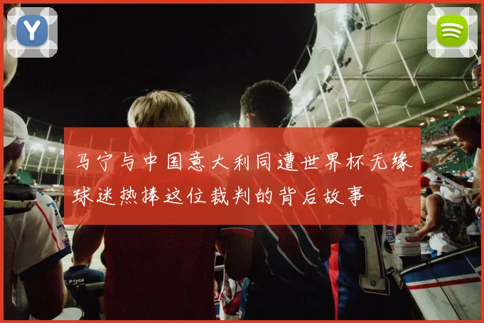 马宁与中国意大利同遭世界杯无缘球迷热捧这位裁判的背后故事