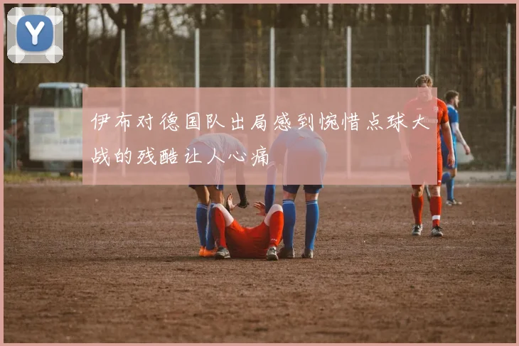 伊布对德国队出局感到惋惜点球大战的残酷让人心痛